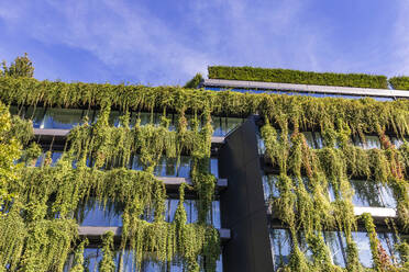 Germany, Baden-Wurttemberg, Stuttgart, Overgrown facade of office building - WDF07383