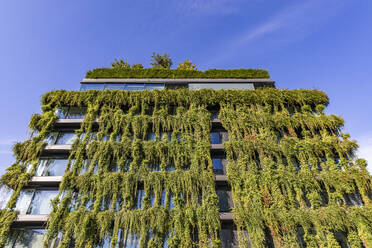 Germany, Baden-Wurttemberg, Stuttgart, Overgrown facade of office building - WDF07385