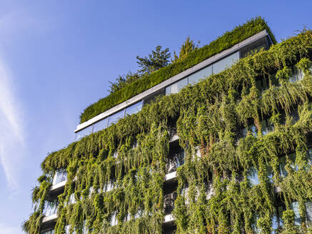 Germany, Baden-Wurttemberg, Stuttgart, Overgrown facade of office building - WDF07386