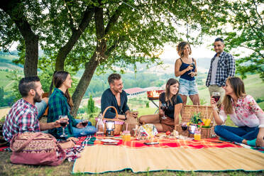 Gruppe von Freunden beim Grillen in der Natur - Glückliche Menschen beim Picknick auf dem Lande - DMDF03987