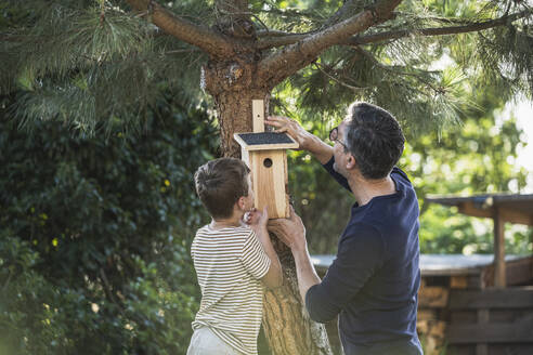 Enkel und Großvater hängen ein Vogelhaus an einen Baum im Hinterhof - UUF30023