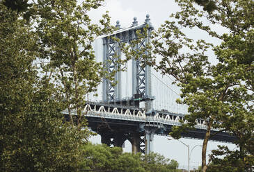 USA, New York State, New York City, Manhattan Bridge with trees in foreground - MMPF00860