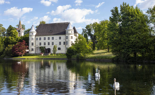 Österreich, Oberösterreich, Sankt Peter am Hart, Schwäne schwimmen im Fluss Mattig mit Schloss Hagenau im Hintergrund - WWF06284