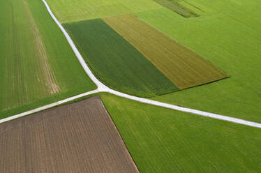 Österreich, Oberösterreich, Drohnenansicht einer Landstraße, die sich zwischen grünen Feldern erstreckt - WWF06297
