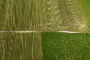 Österreich, Oberösterreich, Drohnenansicht einer Landstraße, die sich zwischen grünen Feldern erstreckt - WWF06302
