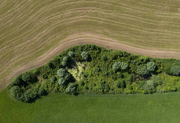 Österreich, Salzburger Land, Drohnenaufnahme eines kleinen Teiches vor einem gepflügten Feld - WWF06303