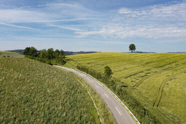 Austria, Upper Austria, Waldzell, Country road stretching between green fields in sunlight - WWF06306