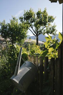 Watering can near fence in garden on sunny day - JUBF00432