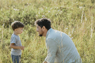 Father and son spending leisure time in field on sunny day - ANAF02078