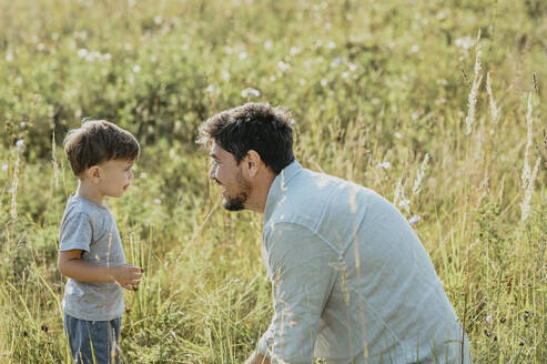 Vater und Sohn verbringen ihre Freizeit auf einem Feld an einem sonnigen Tag - ANAF02078