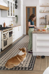 Frau schneidet Karotte durch Hund in Küche zu Hause - VPIF08645