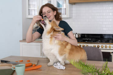 Smiling woman feeding carrot to Welsh Corgi dog in kitchen - VPIF08649