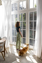 Frau und Welsh Corgi Hund schauen durch das Fenster ihres Hauses - VPIF08662