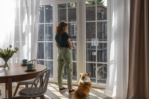 Junge Frau und Welsh Corgi Hund schauen durch das Fenster zu Hause - VPIF08664