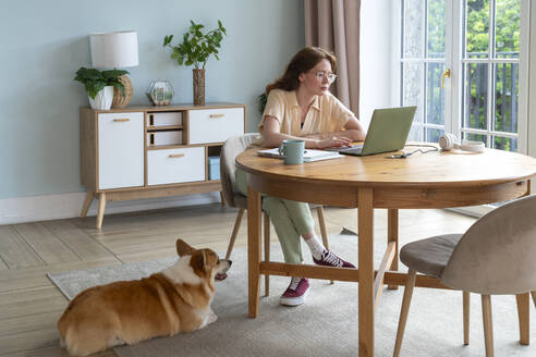 Frau arbeitet am Laptop, während ihr Hund zu Hause sitzt - VPIF08670