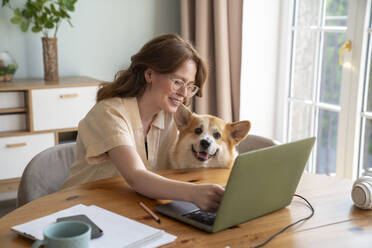 Lächelnder Freiberufler mit Hund arbeitet am Laptop am Tisch - VPIF08676