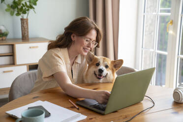 Smiling freelancer with dog working on laptop at table - VPIF08676