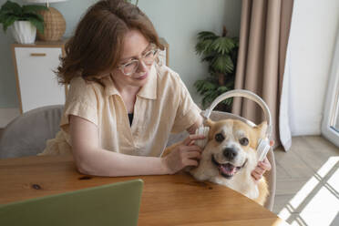 Woman wearing wireless headphones to Welsh Corgi dog at home - VPIF08678