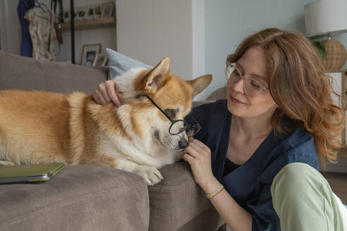 Welsh Corgi Hund mit Brille auf Sofa bei Frau im Wohnzimmer - VPIF08685