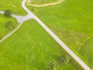 Spain, Cantabria, San Vicente de la Barquera, Aerial view of country road stretching between green fields in summer - LAF02831