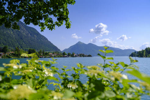 Deutschland, Bayern, Walchensee im Sommer mit Bergen im Hintergrund - LBF03848