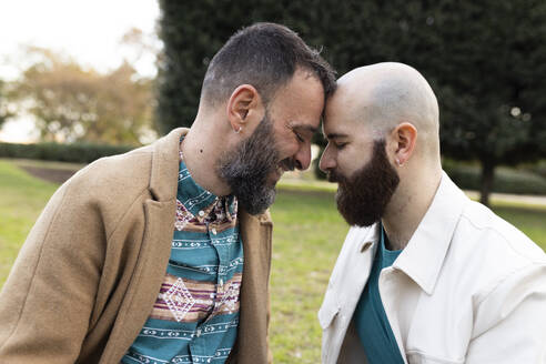 Loving gay couple embracing each other in park - JPTF01308