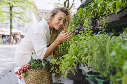 Happy woman choosing mint seedlings in market - NDEF01040