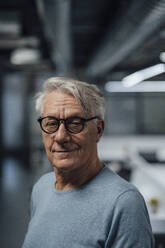 Senior businessman with grey hite hair wearing eyeglasses at work place - JOSEF20954
