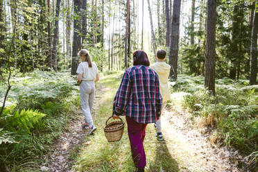 Großmutter hält Korb und geht mit Enkeln im Wald spazieren - EYAF02775
