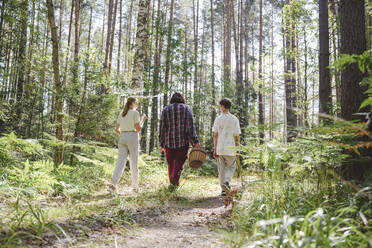 Großmutter geht mit Enkelkindern im Wald spazieren - EYAF02776