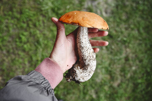 Hand of woman with big mushroom - EYAF02781