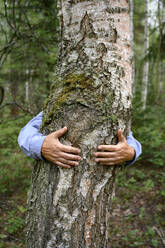 Die Hände eines älteren Mannes umarmen einen Baum im Wald - EYAF02784