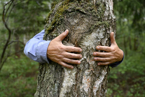 Männerhände, die einen Baum im Wald umarmen - EYAF02785