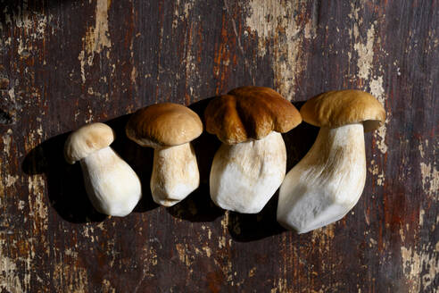 Fresh organic mushrooms on table - EYAF02789