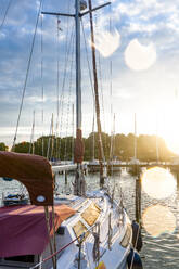 Deutschland, Mecklenburg-Vorpommern, Krummin, Boot im Yachthafen mit untergehender Sonne im Hintergrund - EGBF00892