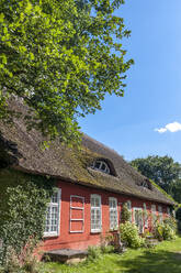 Deutschland, Mecklenburg-Vorpommern, Morgenitz, Außenansicht eines Bauernhauses mit Reetdach - EGBF00907