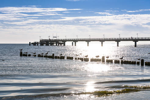 Deutschland, Mecklenburg-Vorpommern, Vögel auf einer Buhne mit Pier im Hintergrund - EGBF00913