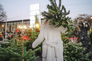 Frau mit Weihnachtsbaum auf dem Markt - MDOF01479