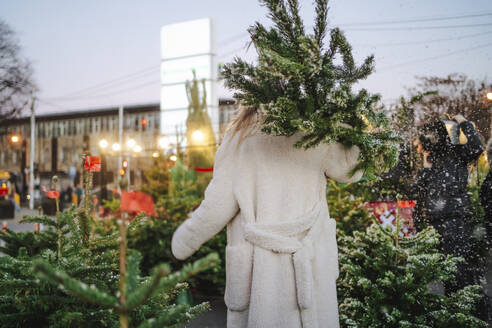 Woman carrying Christmas tree at market - MDOF01479