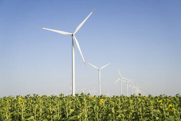 Windkraftanlagen auf einem Feld an einem sonnigen Tag - EKGF00480