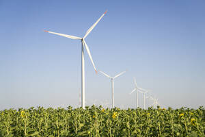 Wind turbines in field on sunny day - EKGF00480