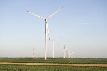 Windkraftanlagen auf einem Feld unter freiem Himmel an einem sonnigen Tag - EKGF00523