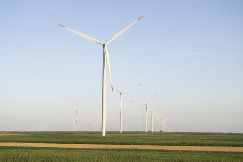 Windkraftanlagen auf einem Feld unter freiem Himmel an einem sonnigen Tag - EKGF00523