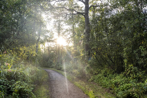 Deutschland, Schleswig-Holstein, Sonne scheint über Fußweg an der Lübecker Bucht - EGBF00917