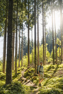 Mann wandert durch Bäume im Wald - DIGF20517