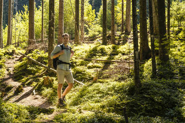 Wanderer auf Erkundungstour im Wald an einem sonnigen Tag - DIGF20518
