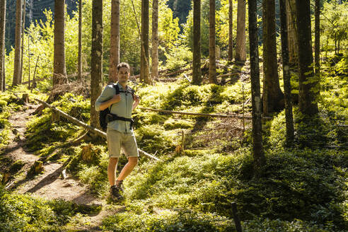 Wanderer auf Erkundungstour im Wald an einem sonnigen Tag - DIGF20518