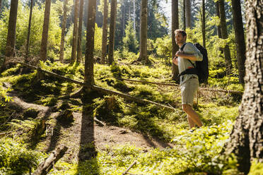 Hiker with backpack exploring in forest - DIGF20522