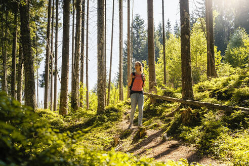 Frau beim Wandern im Wald an einem sonnigen Tag - DIGF20528