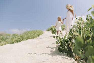Pflanzen auf Sand mit Mutter und Tochter, die am Strand spazieren gehen - SIF00841
